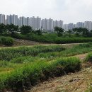 지문천 Daum카페