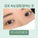 [미용/리뷰] 이니브브로우 :: 김포 운양동 속눈썹펌 추천