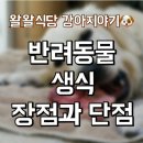 왈왈식당