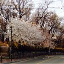 LUDIA COFFEE 이미지