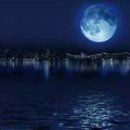 once in a blue moon 이미지