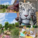 호랑이버거 | 안동 까치와호랑이 호랑이한우버거 식혜 후기