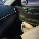 별무리 민박 | 지리산 둘레길 코스, 민박집 리스트 정리! (급하게 여행 준비 중..)