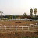 현성목장 이미지