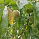 불모산 저수지 내 이미지