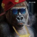 렉스고시텔 - 동대문구 왕산로 240 | 렉스고시텔