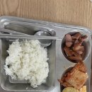 뱃살야옹 이미지