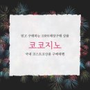 코코지노