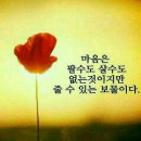 누가복음 23장 -21일 숨지시다.요셉이예수의시체를무덤에넣어두다 이미지