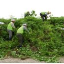 공릉천자전거도로변 이미지