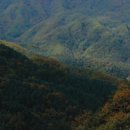 양평부안초 이미지