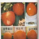 대봉