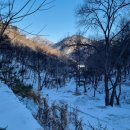 농암농장 이미지