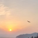 실리도 Daum카페