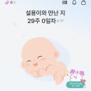29170-4-A-29 | 임신 29주 일기ㅣ자궁경부무력증 퇴원 자궁수축 재입원 엔딩😭(고대구로)