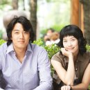 옥탑방 고양이 이미지