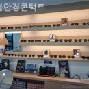 새봄안경 이미지