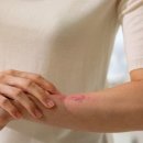 서초대로 320 이미지