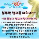 아리솔 태권도 이미지