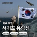 쇠소깍크루즈 | [제주도 서귀포]제주투어패스 서귀포 가볼만한곳｜서귀포 유람선 무료·할인 탑승 예약 방법 총정리!🚢