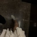 미가교동짬뽕 | 차 [제주 에코호텔 룸서비스 저녁수영, 대복관 고추짬뽕, 카페 해무, 김녕해수욕장, 말젯문 돌문어크림...