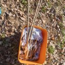 체리목장 이미지