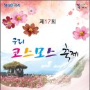 팀코스모스