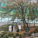 신원동 청룡텃밭 | [등산] 청계산 등산코스 매봉코스 후기 ( #주차 #매봉 #매바위 #청계산등산) + 청계산맛집
