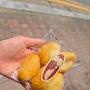 이마트24 의정부가능로점 | 의정부 빵집 어디 갈까? 가성비 끝판왕 슈브레드 추천🍞 내돈내산