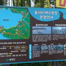 함평군 돌머리캠핑장 이미지