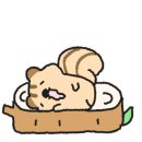 구스케이지