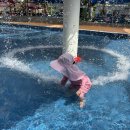 윗골 Daum카페