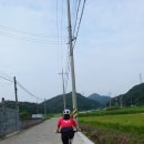 경주 시무내천,조양산풍력 이미지