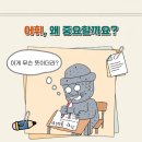 [개암나무] ＜'세종 대왕도 찾아보는 초등 필수 어휘 100' 시리즈＞소개 이미지