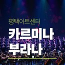 국립합창단 까르미나 부라나 | 평택아트센터 국립합창단 카르미나 부라나 관람 후기｜조수미 공연에 이어 두 번째 방문