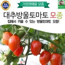 모종비