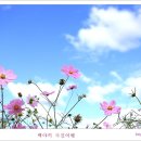 가을하늘 이미지
