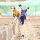 월암농장 이미지