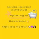 우주개스타 이미지