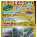 최기조