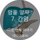 센신코리아 이미지