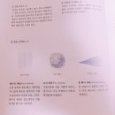 기초 보태니컬아트 기법 이미지