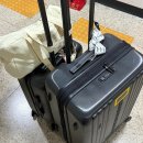 애월사랑 | [제주 1일차] :: 애월 새별프렌즈 동물체험 후기 + 가성비 숙소