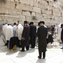 선민목장 이미지