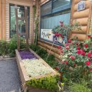 화성식사집 이미지