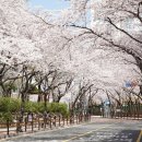 하남초(해바라기공원2) 이미지