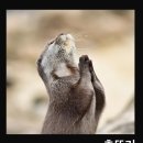 배정형외과의원 이미지