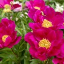 동양한의원 이미지