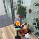 라화쿵부마라탕 파주야당점 이미지