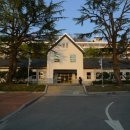 조선대학교 이미지